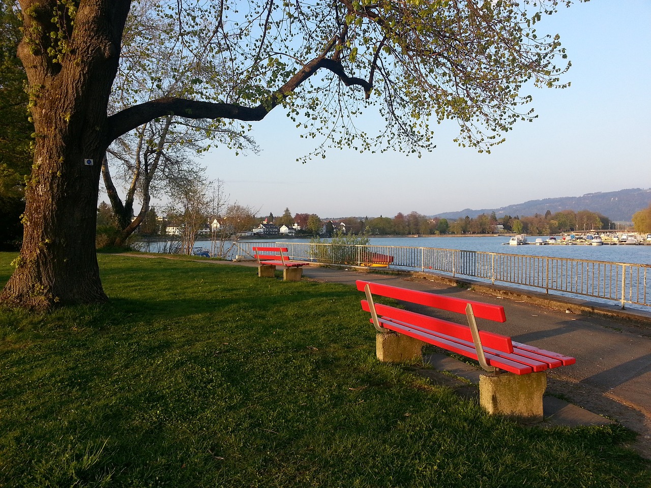 姆斯则继续 姆斯则继续