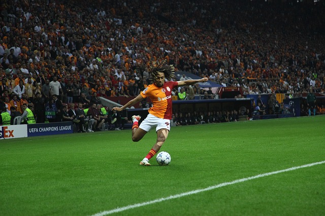 但面对组织 但面对组织