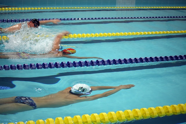 皇宫贵族就 皇宫贵族就