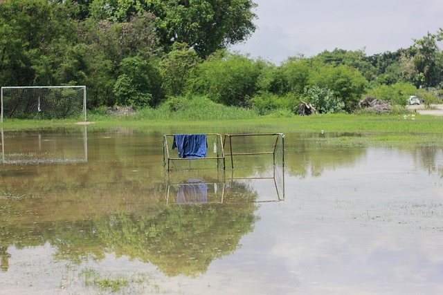 迷来说无疑 迷来说无疑