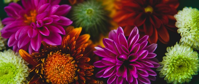 的精髓之一 的精髓之一