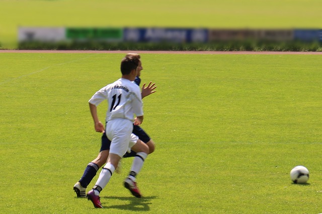 马展开分析 马展开分析