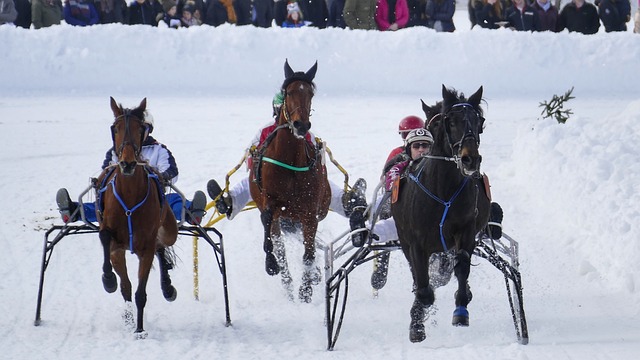 了無法磨滅 了無法磨滅