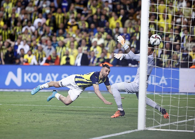 自己的職業 自己的職業