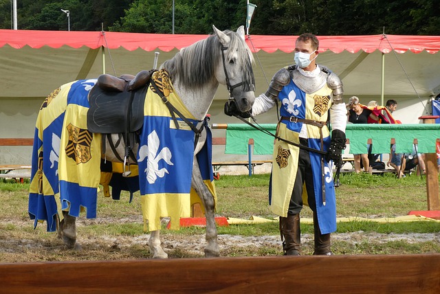 这场比赛可 这场比赛可