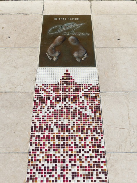 帮助学生提 帮助学生提